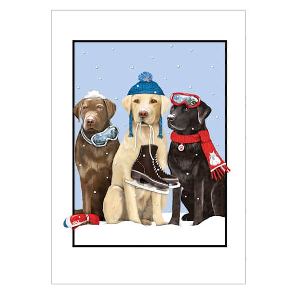 Winter Dogs Holiday Cards