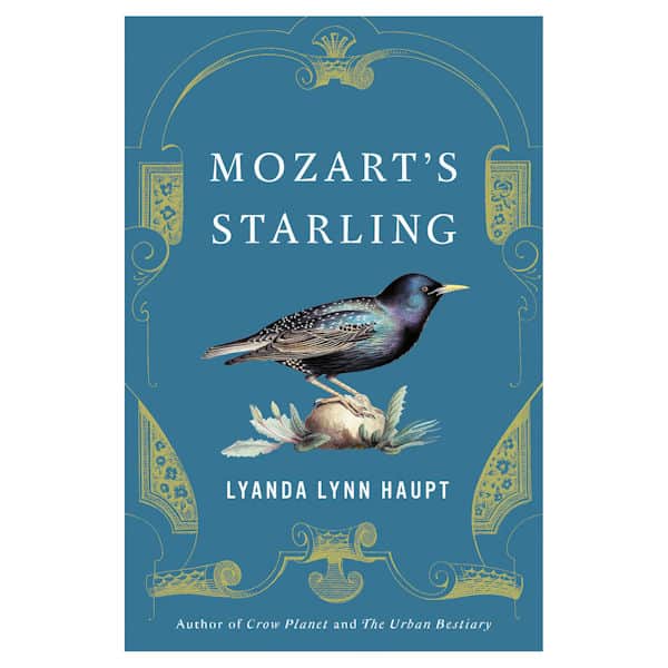 Mozart's Starling