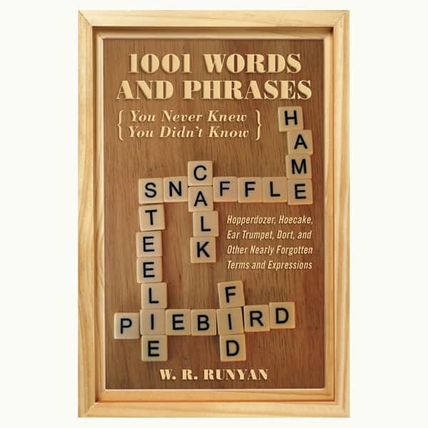 1,001 Words and Phrases You Never Knew You Didn't Know