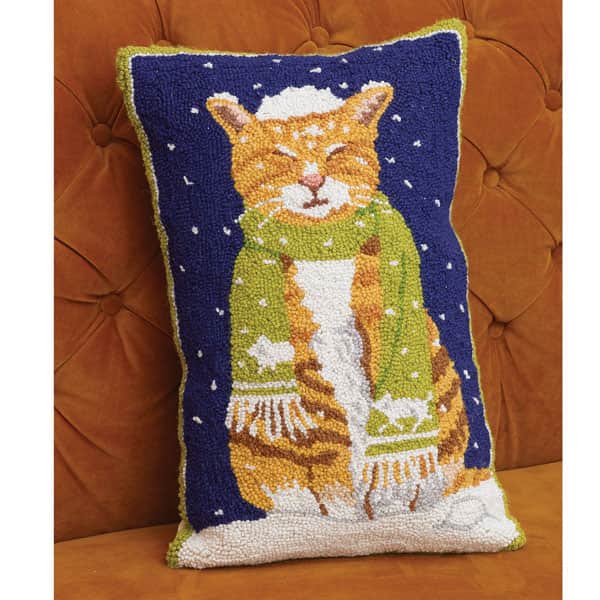 Tabby Cat with Snow Pillow