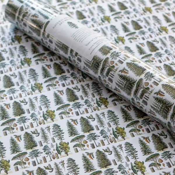 Natural History Gift Wrap: Conifers