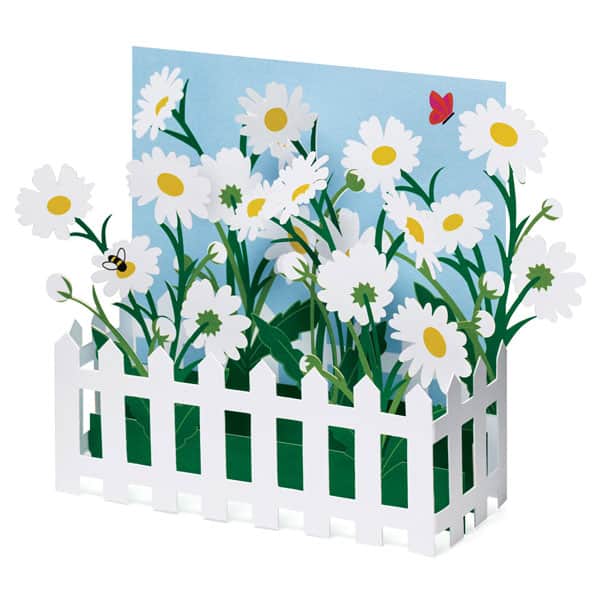 Picket Fence Daisies Pop-Up Cards