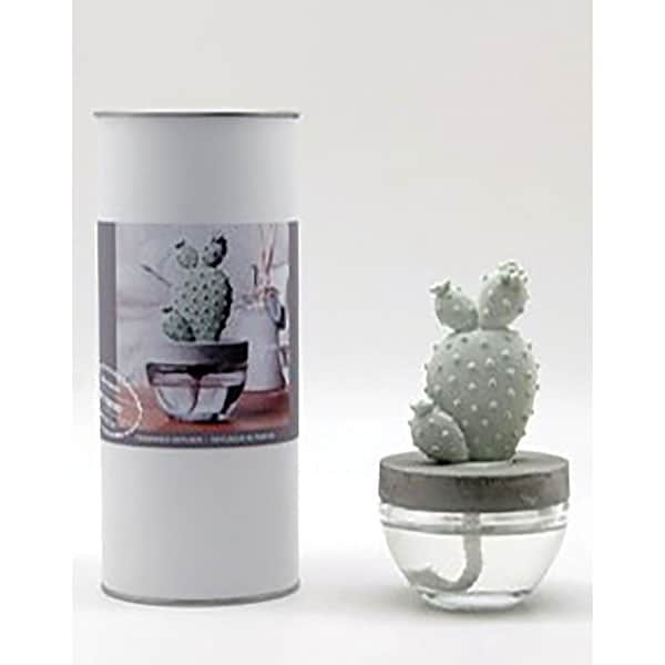 Cactus Fragrance Diffusers: White Flower