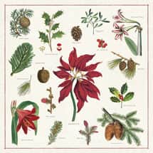Alternate image Vintage Christmas Botanicals Napkins