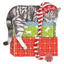Sleeping Kitty Christmas Cards