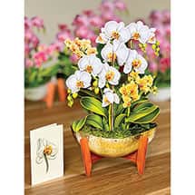 Alternate image Serenity Orchid Pop-Up Bouquet Card