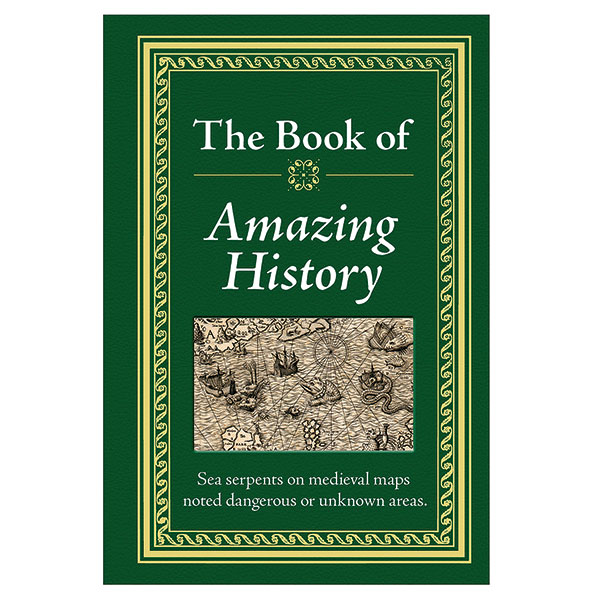 Product image for The Book of Amazing History
