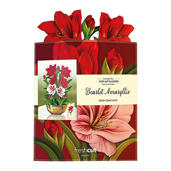 Product image for Amaryllis Pop-Up Card