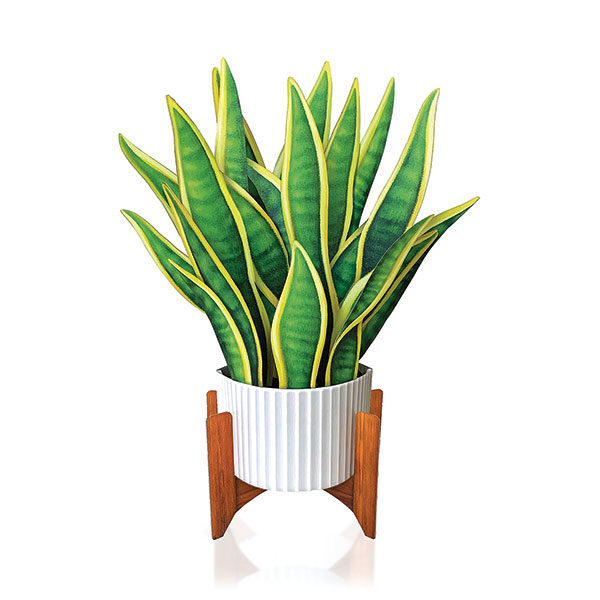 Product image for Houseplant Pop-Up Cards