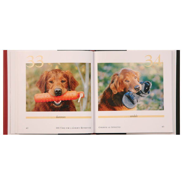 101 Uses For a Dog Book - Golden