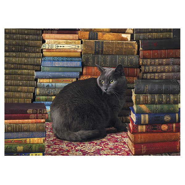 Library Cat Puzzle