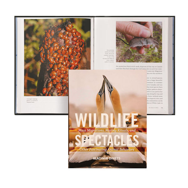 Wildlife Spectacles: Mass Migration, Mating Rituals, and Other Fascinating Animal Behaviors
