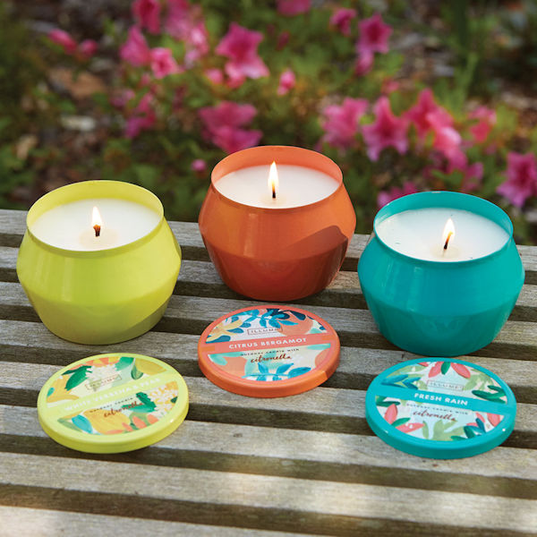 Large Citronella Candle Tins - White Verbena and Pear