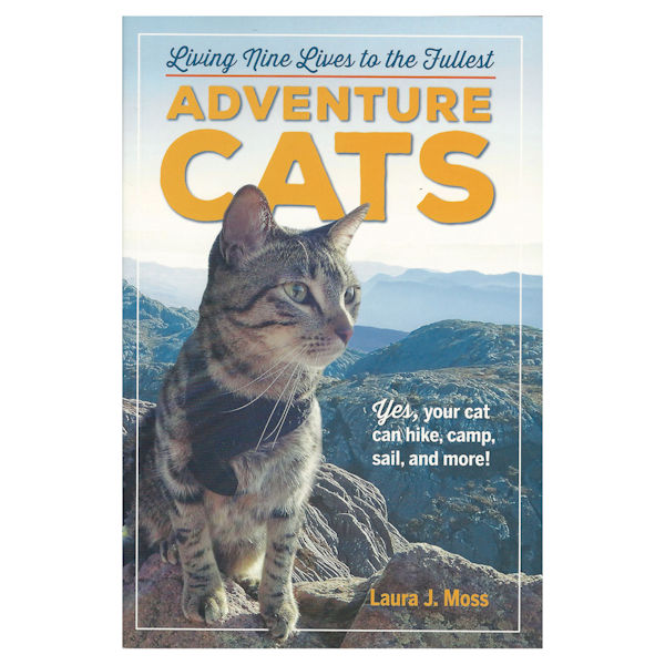 Adventure Cats: Living Nine Lives to the Fullest