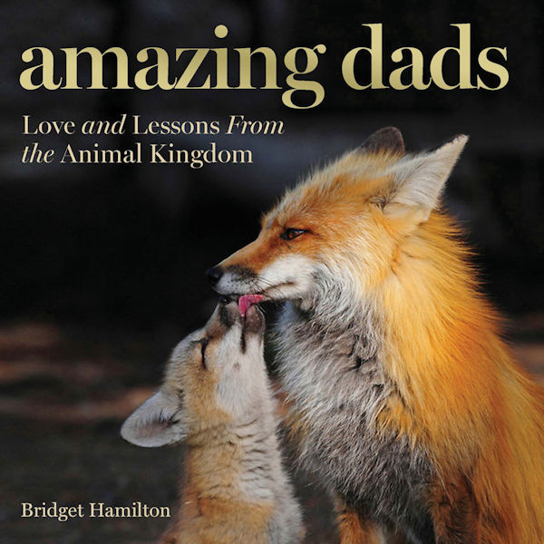 Amazing Dads: Love and Lessons from the Animal Kingdom