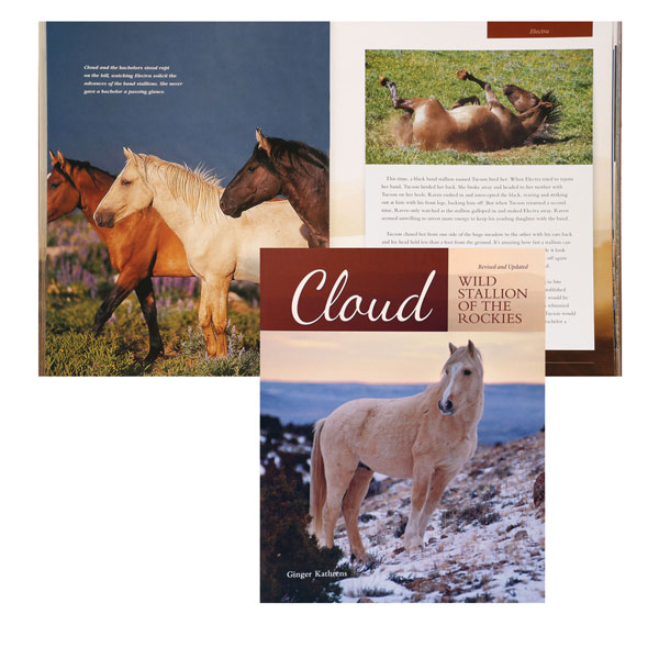 Cloud: Wild Stallion of the Rockies