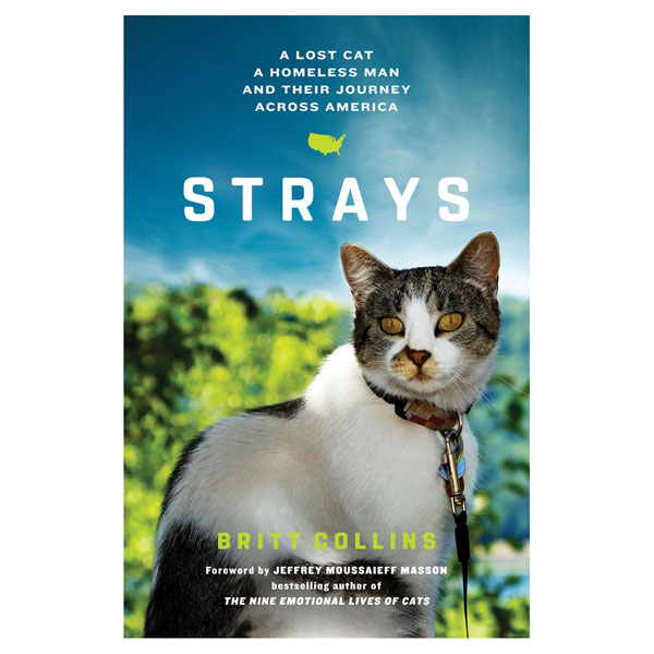 Strays: A Lost Cat, A Homeless Man, and Their Journey Across America