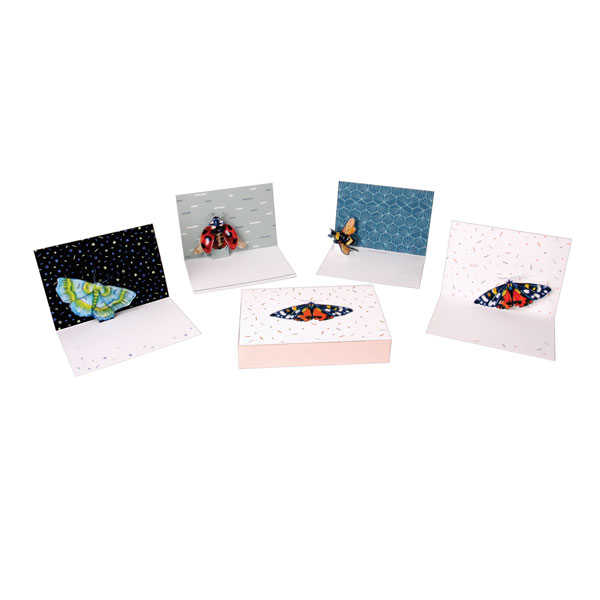 Product image for Wings Pop-Up Greeting Cards Boxed Set