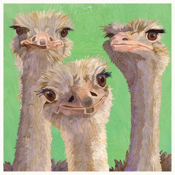 Product image for Amigos - Ostrich Napkins