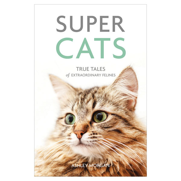 Super Cats: True Tales of Extraordinary Felines