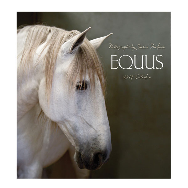 2019 Equus Wall Calendar