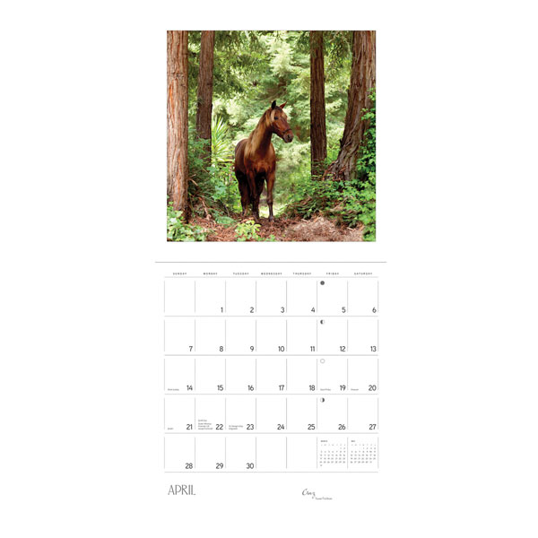 2019 Equus Wall Calendar