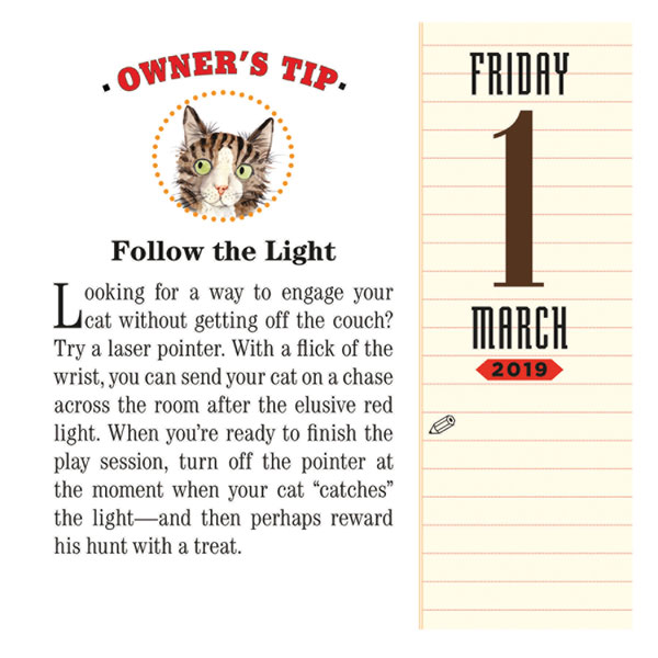 2019 Cat Trivia Page-a-Day Calendar
