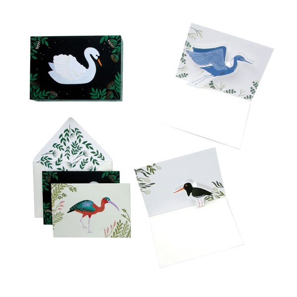 Aquatic Birds Pop-Up Boxed Greeting Note Greeting Cards