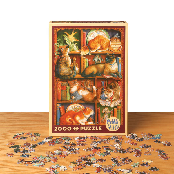 Feline Bookcase Jigsaw Puzzle