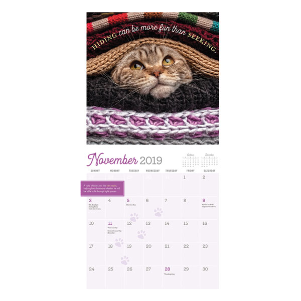 2019 Really Important Stuff My Cat Has Taught Me Calendar