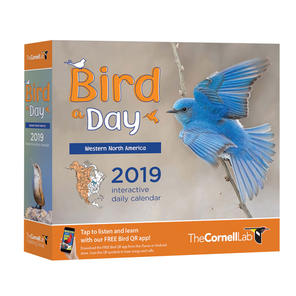 2019 Bird a Day Calendar: Western North America