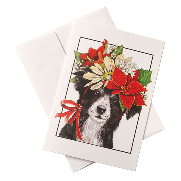Collie and Poinsettias Cards