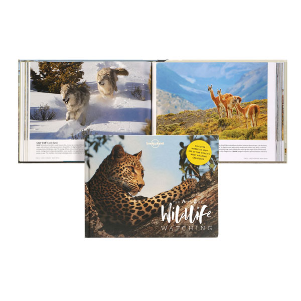 The A to Z of Wildlife Watching
