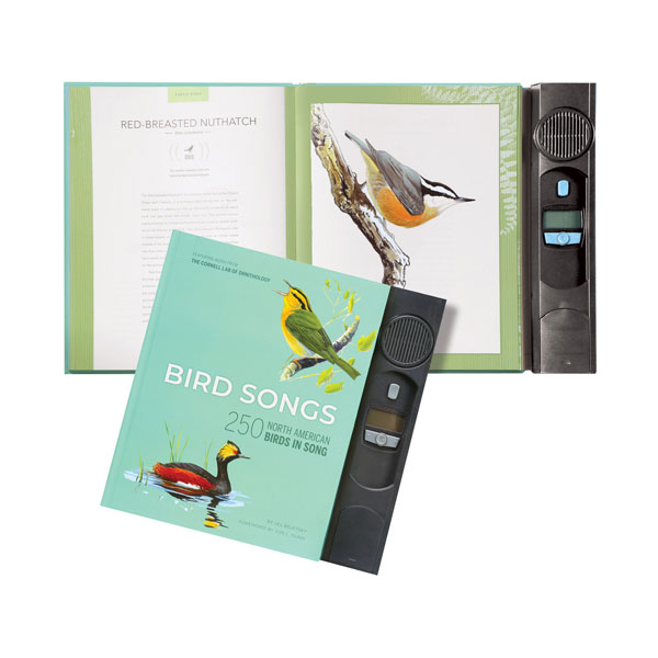 Product image for Bird Songs