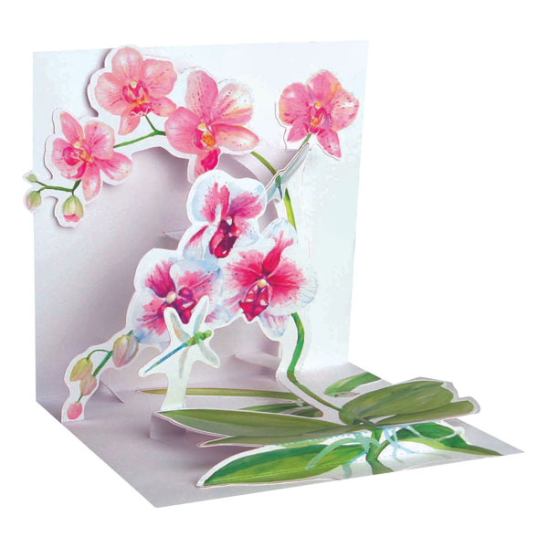 Pink Orchids Pop-Up Greeting Card