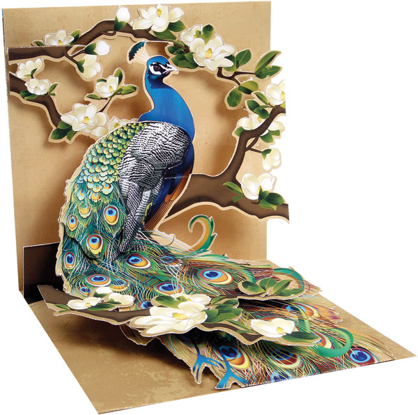 Peacock Pop-Up Greeting Card