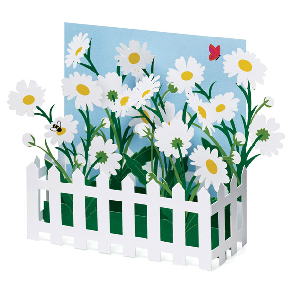 Picket Fence Daisies Pop-Up Cards