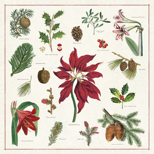 Vintage Christmas Botanicals Napkins