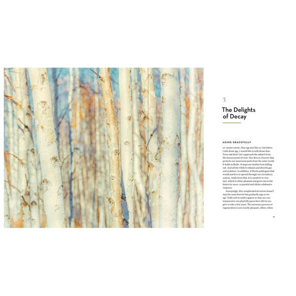 Product image for The Hidden Life of Trees: The Illustrated Edition