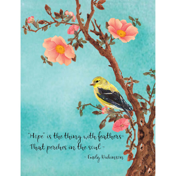 Natural Wisdom Note Cards