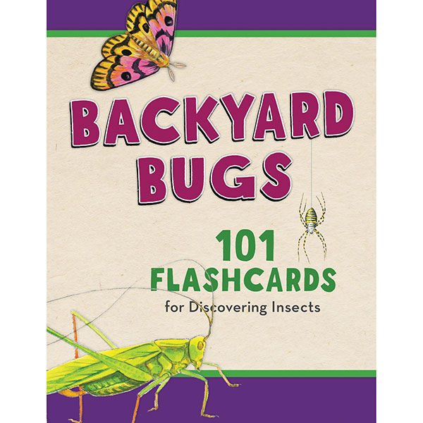 Backyard Flashcards: Bugs