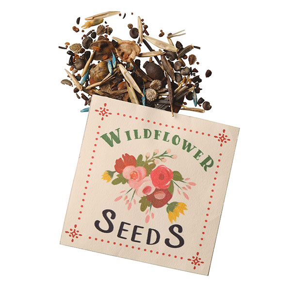 Wildflower Seeds Card