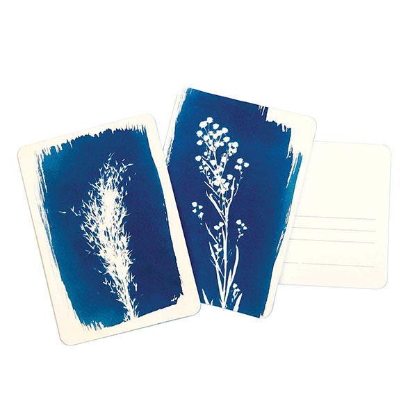 Product image for Cyanotype Postcard Kit - Set of 12