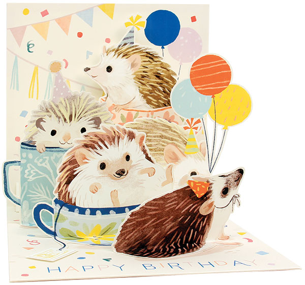 Hedgehog Birthday Pop-Up Card
