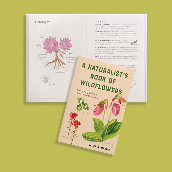 A Naturalist's Book of Wildflowers