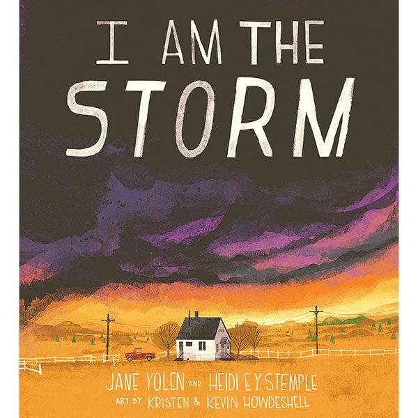 Product image for I Am the Storm