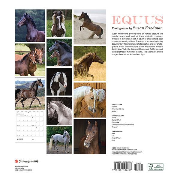 Product image for 2022 Equus Wall Calendar