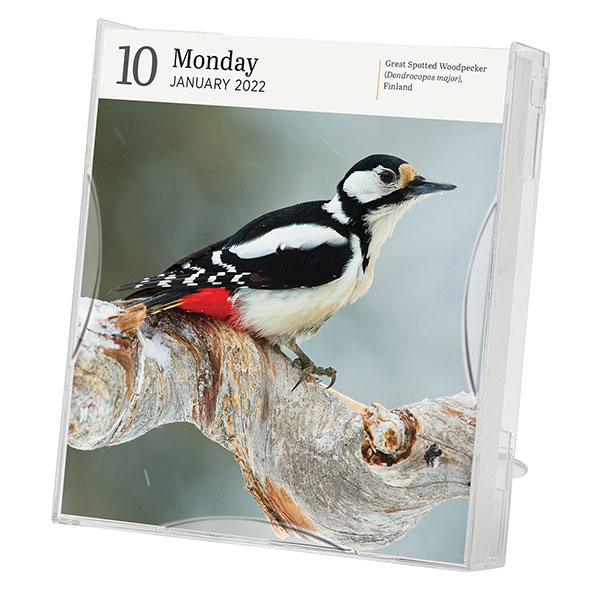 2022 Audubon Nature Calendar