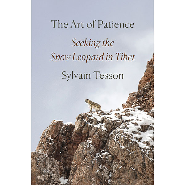 The Art of Patience: Seeking the Snow Leopard in Tibet