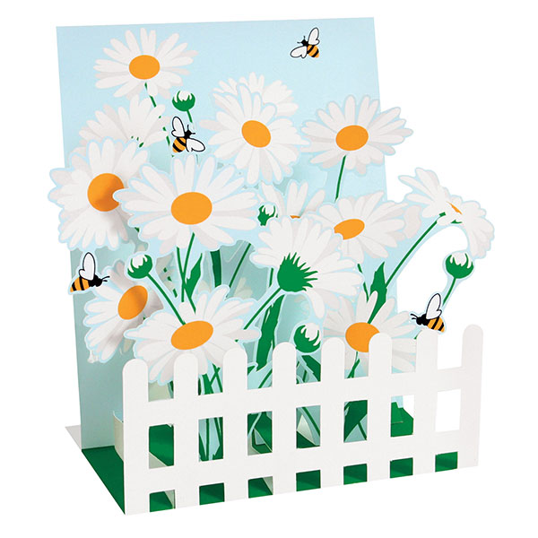 Product image for White Fence and Daisies Boxed Pop-Up Cards